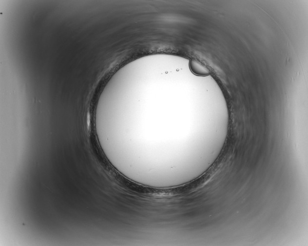 X0000098180067200804241039