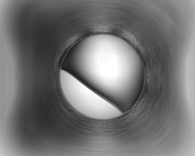 X0000098180068200804241039