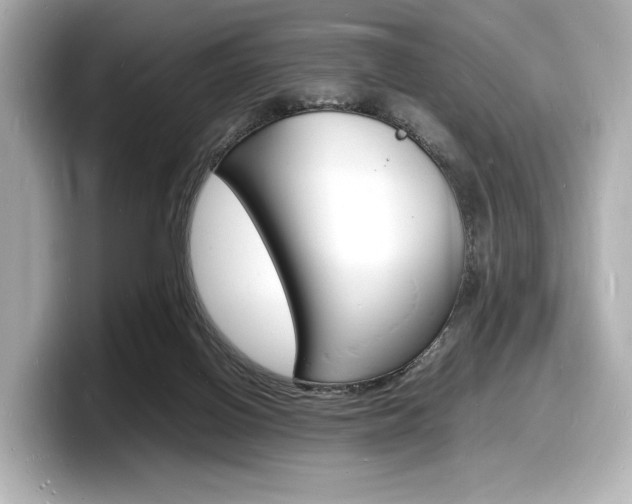 X0000098180070200804241039