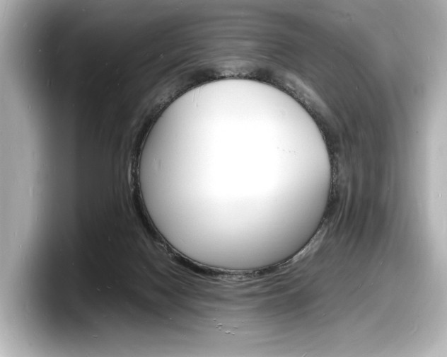 X0000098180074200804241039