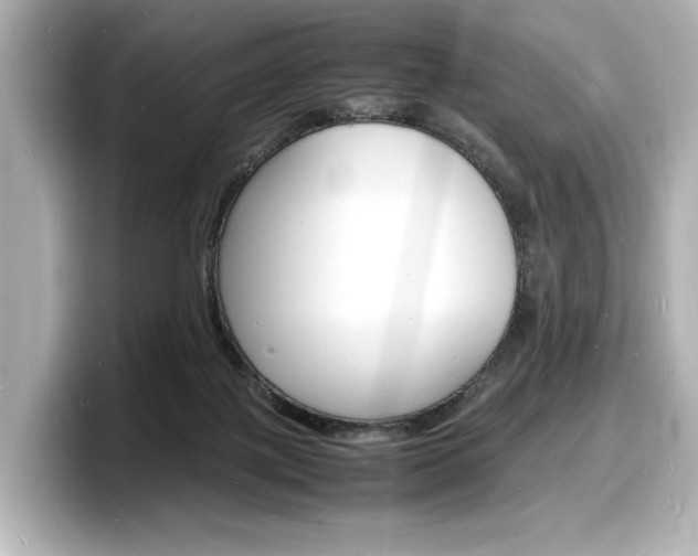 X0000098180075200804241039