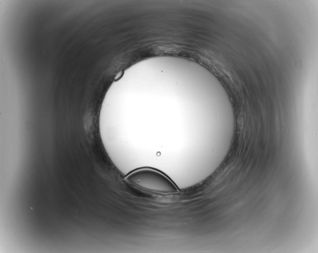 X0000098180079200804241039