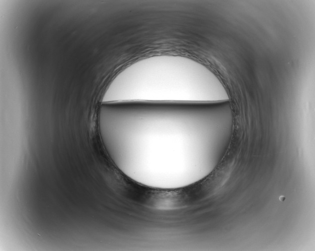 X0000098180081200804241039
