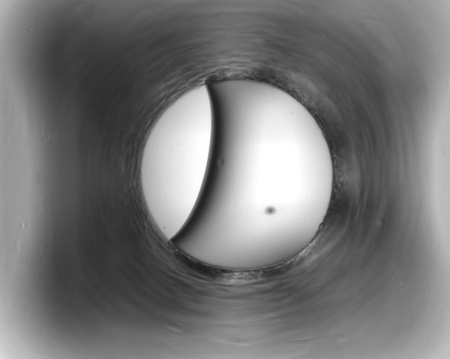 X0000098180082200804241039