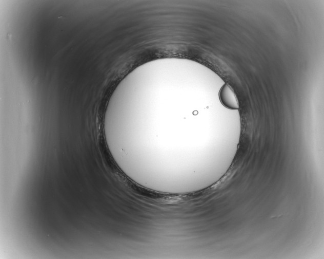 X0000098180086200804241039