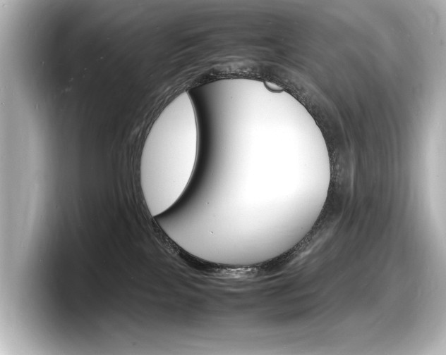 X0000098180089200804241039