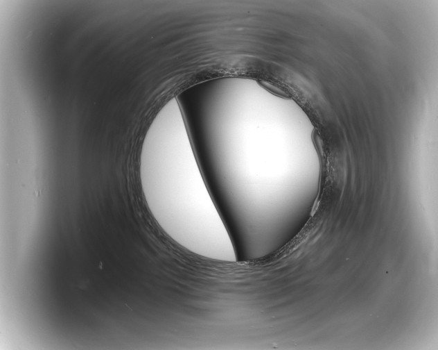 X0000098180092200804241039