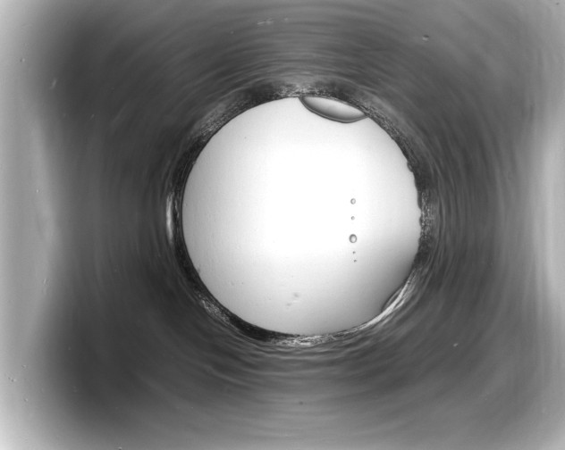 X0000098180094200804241039