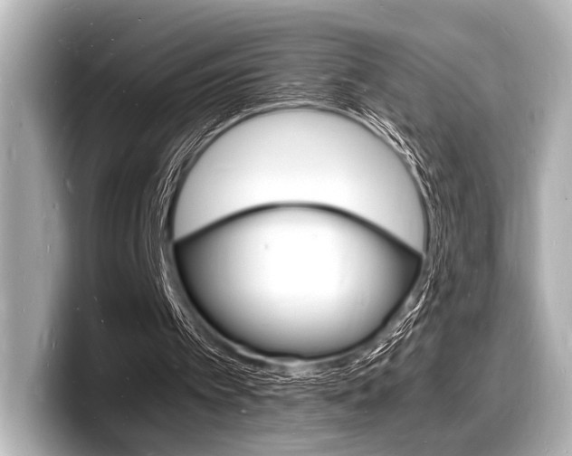 X0000098180097200804241038