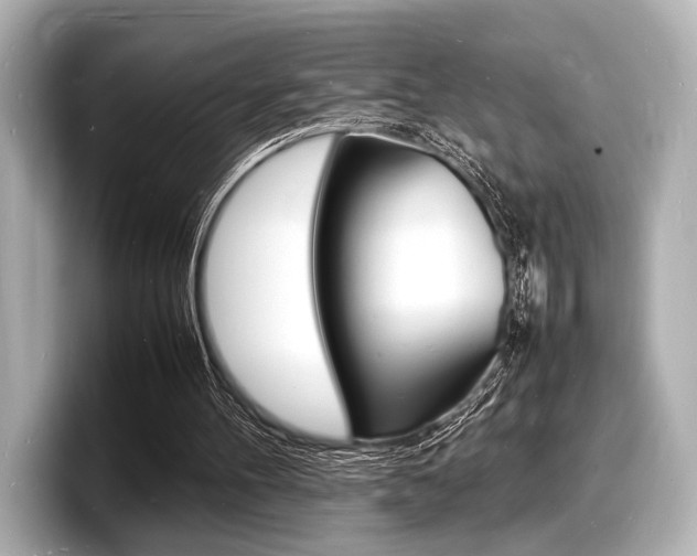 X0000098180100200804241038