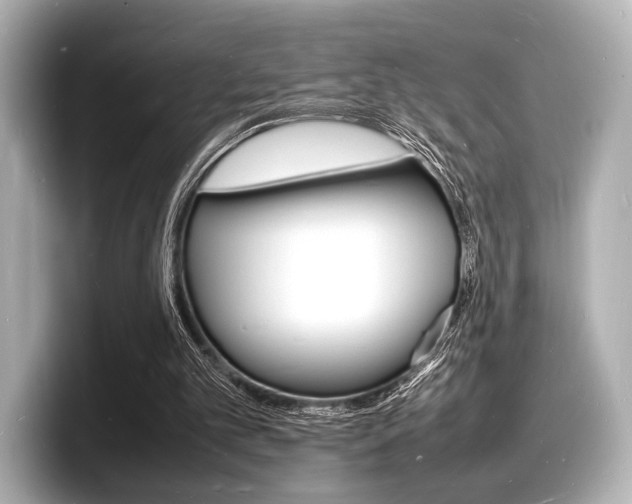 X0000098180101200804241038