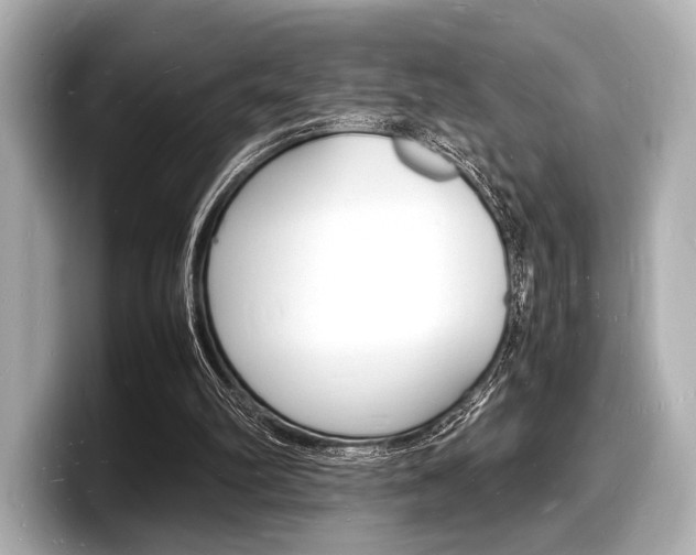 X0000098180102200804241038