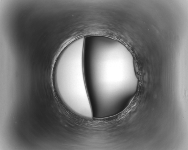 X0000098180104200804241038