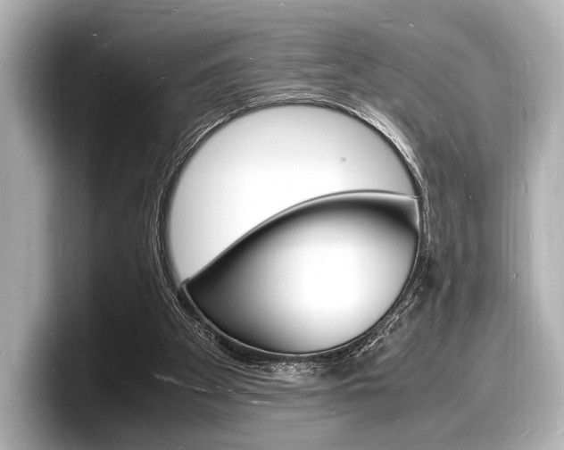 X0000098180105200804241038