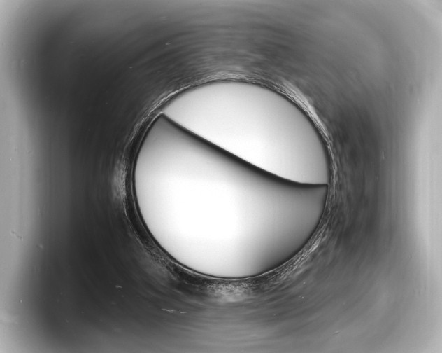 X0000098180106200804241038