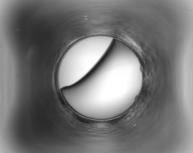 X0000098180107200804241038