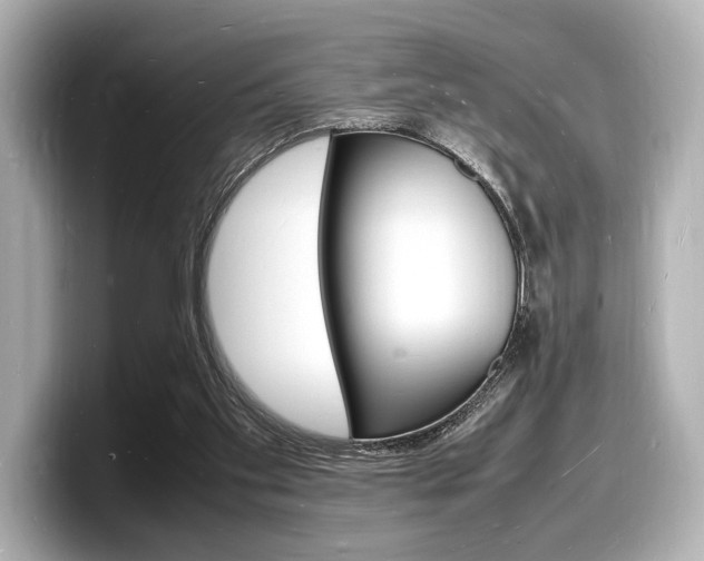 X0000098180109200804241038