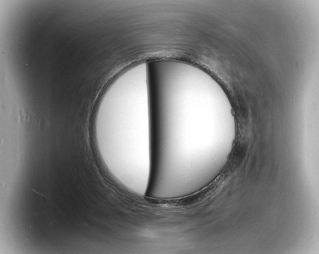 X0000098180111200804241038