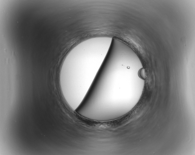 X0000098180115200804241038