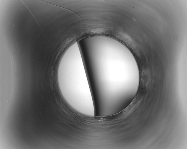 X0000098180116200804241038