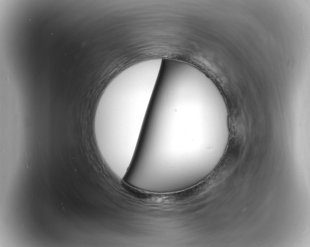 X0000098180117200804241038