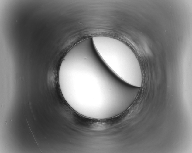 X0000098180119200804241038
