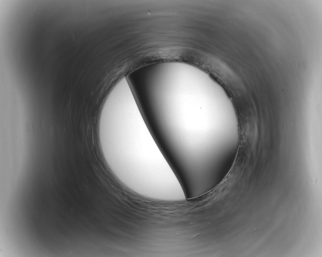 X0000098180120200804241038