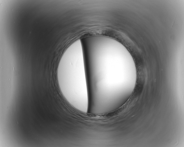 X0000098180125200804241038