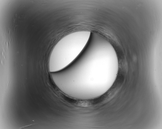 X0000098180127200804241038