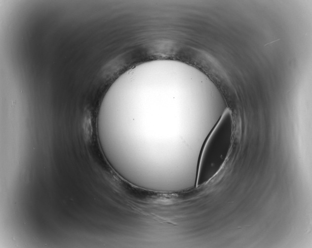 X0000098180128200804241038