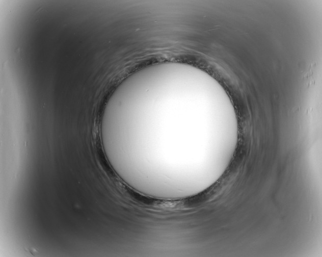 X0000098180129200804241038