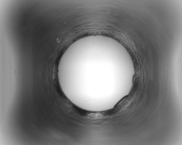 X0000098180133200804241038