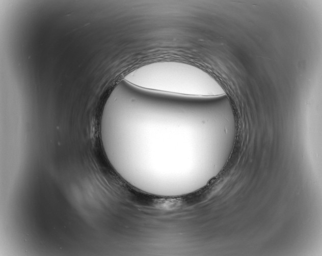 X0000098180135200804241038