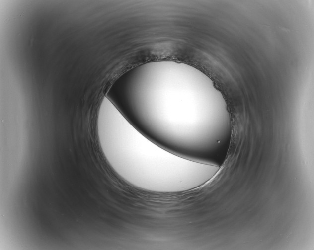 X0000098180136200804241038