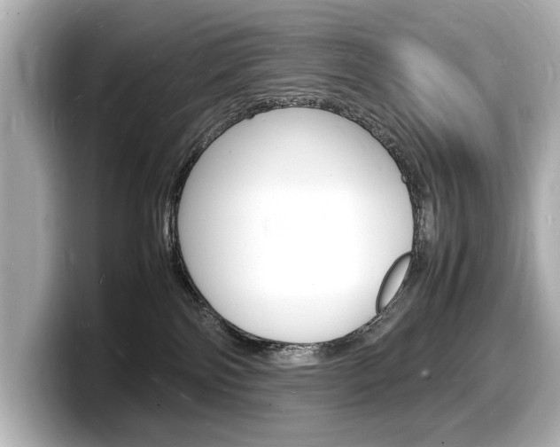 X0000098180138200804241038