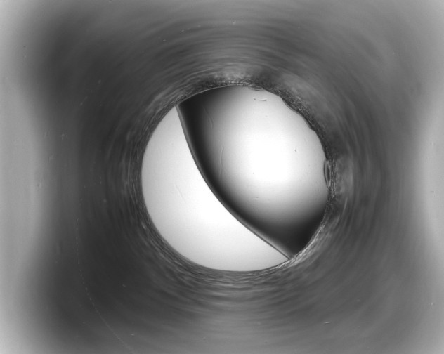 X0000098180140200804241038