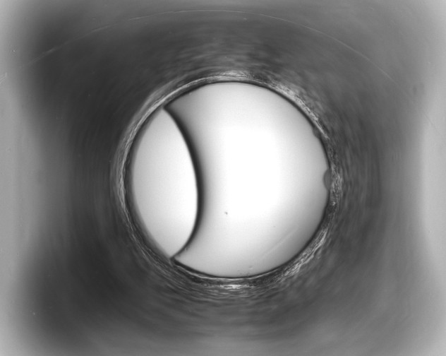 X0000098180151200804241037