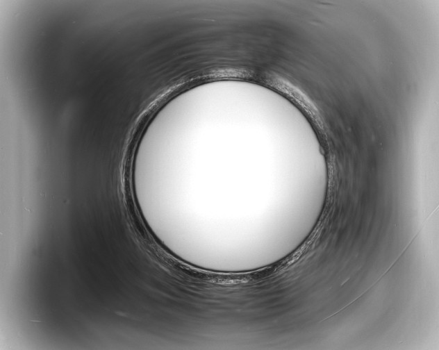 X0000098180155200804241037