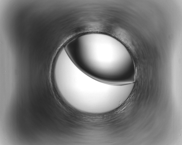 X0000098180156200804241037