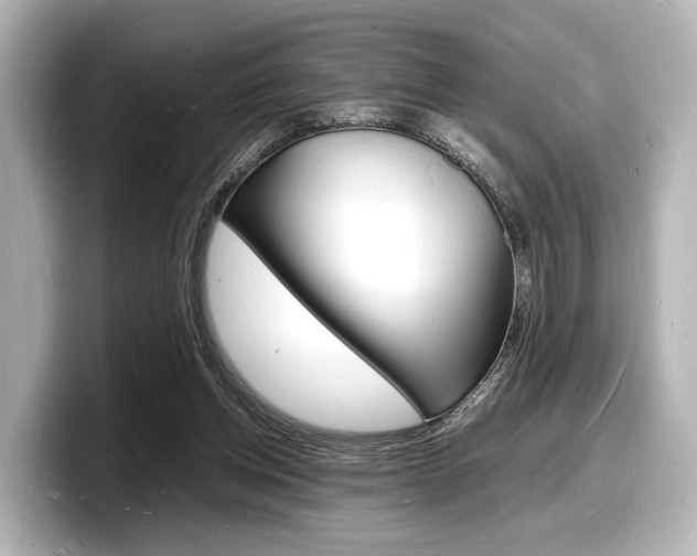 X0000098180158200804241037