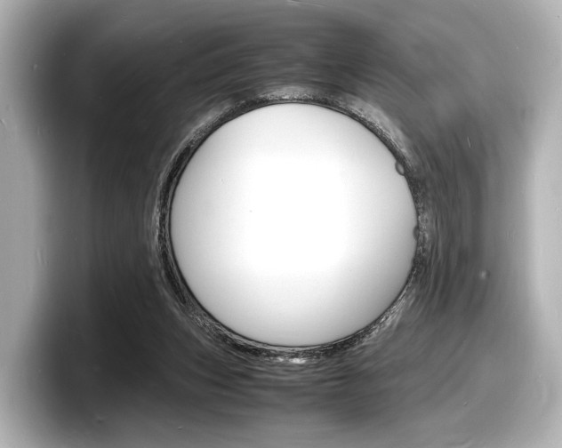 X0000098180159200804241037