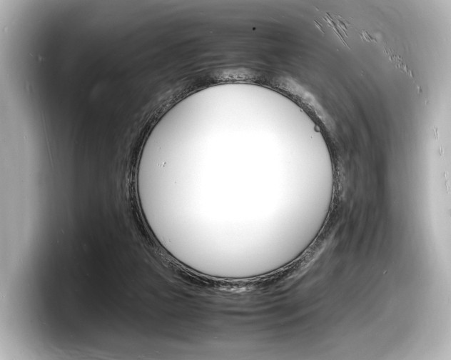 X0000098180161200804241037