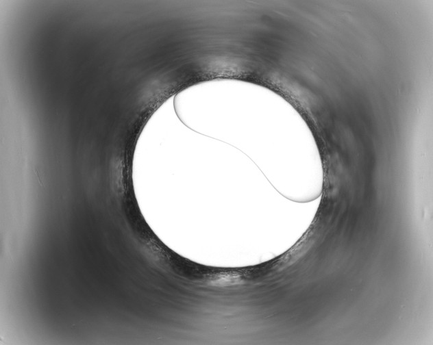 X0000098180162200804241037