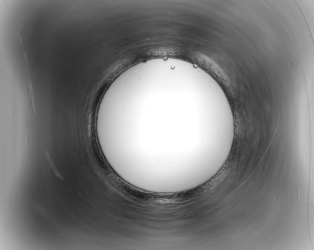 X0000098180163200804241037