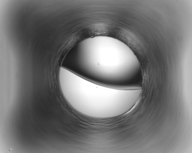 X0000098180170200804241038