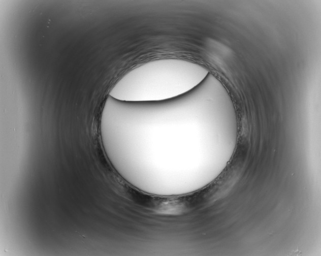 X0000098180173200804241038
