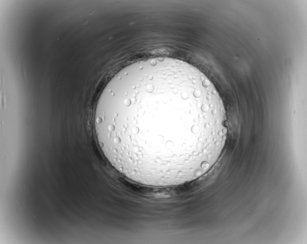 X0000098180175200804241038