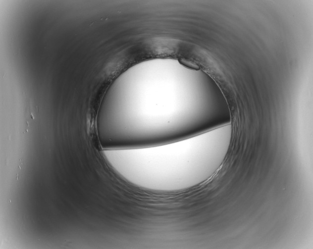 X0000098180176200804241038