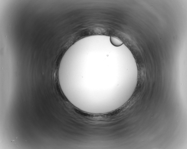 X0000098180177200804241038