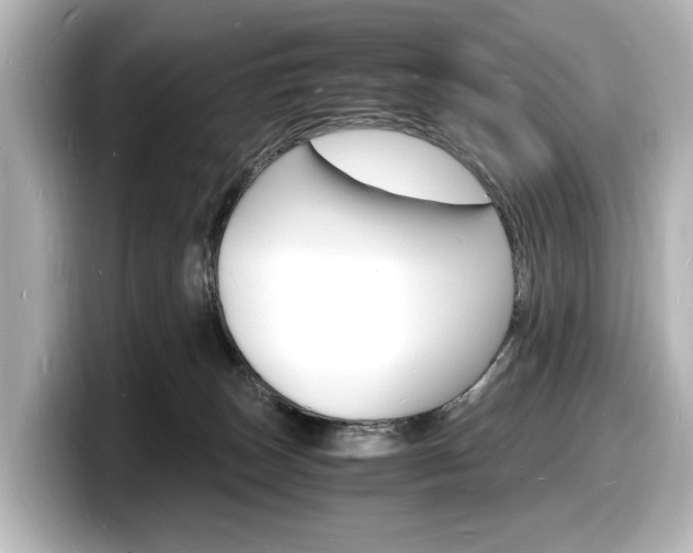 X0000098180179200804241038